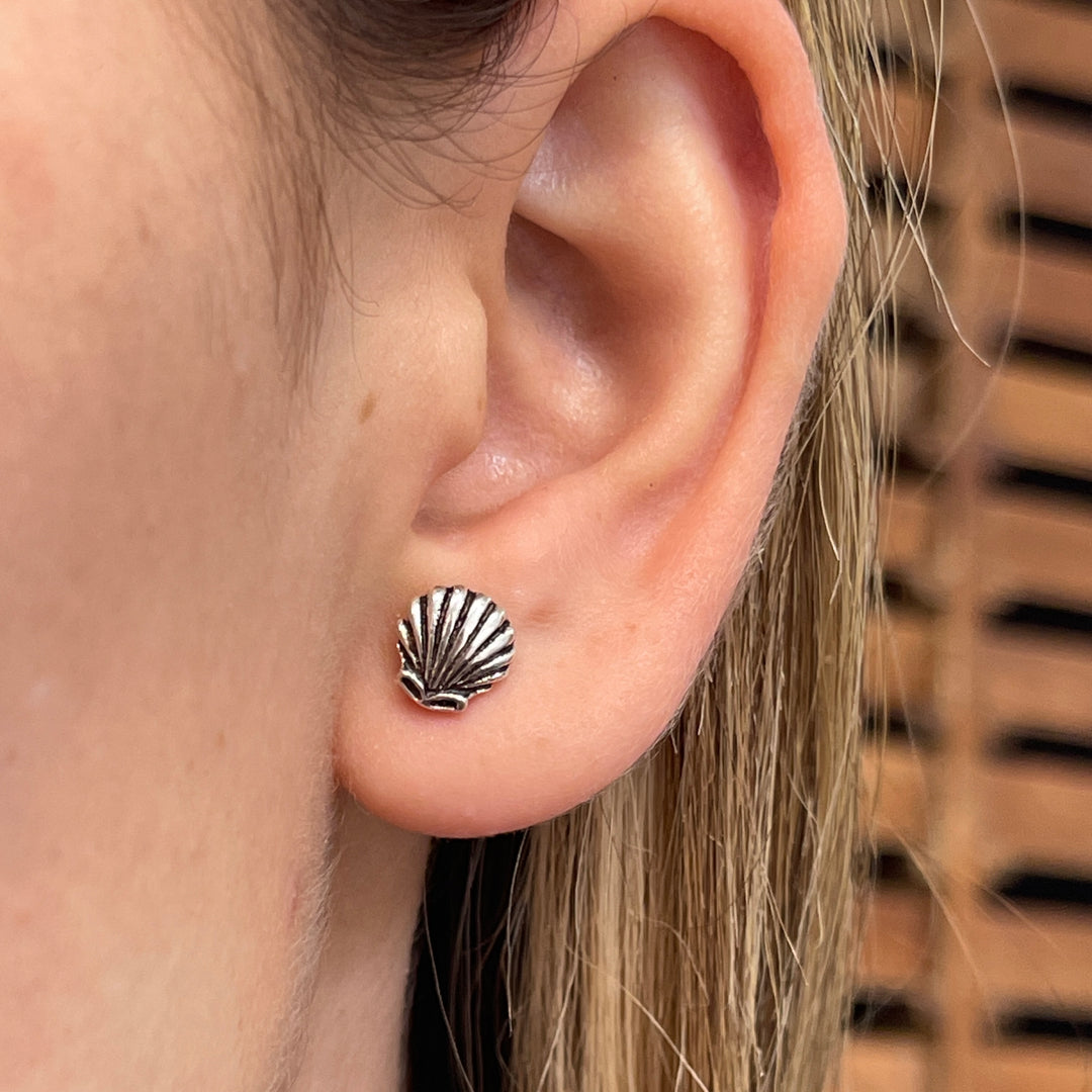 Aretes Conchas Plata