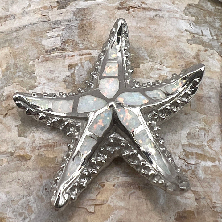 Dije de Plata estrella de mar Abulon blanco
