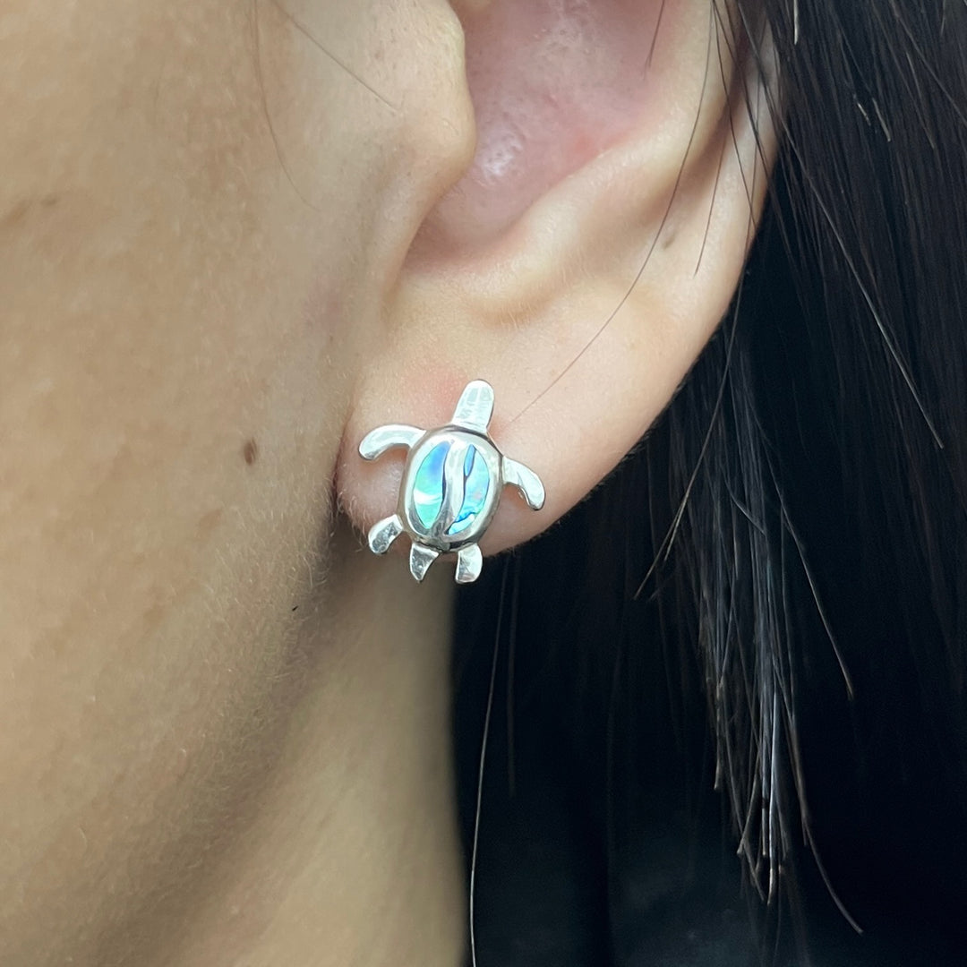 ▷ Aretes Tortuga Abulón 🐢 Nicola Joyería 🇨🇷