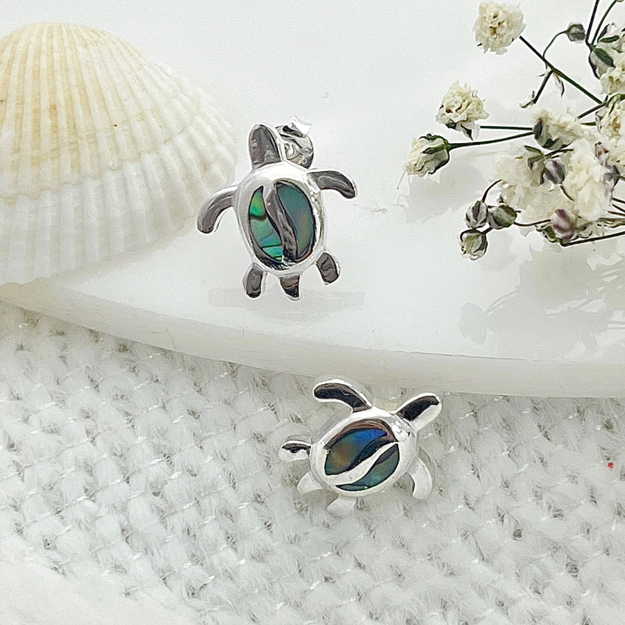 ▷ Aretes Tortuga Abulón 🐢 Nicola Joyería 🇨🇷