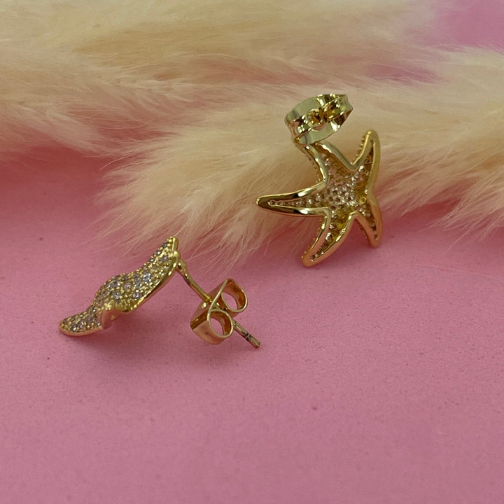 Aretes de Acero Estrella de Mar