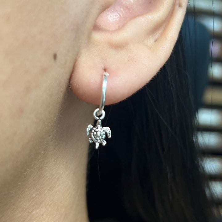 Compra online unas argollas pequeñas de plata con tortugas 🐢 en Nicola Joyería  ✔️ Envío en 48 horas ✔️ Alta Calidad ✔️ Costa Rica 🇨🇷 