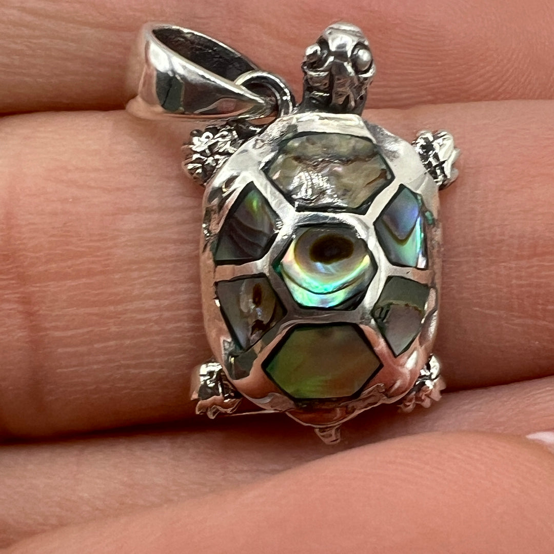 Dije de Plata Tortuga Abulon