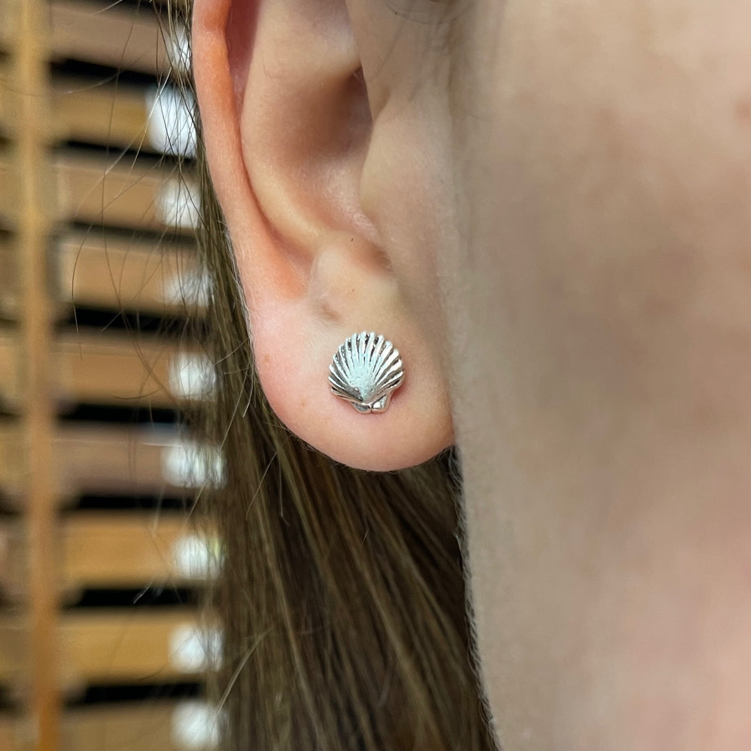  ▷ Aretes Conchas del Mar 🌊 Plata 925 | Nicola Joyería 🇨🇷