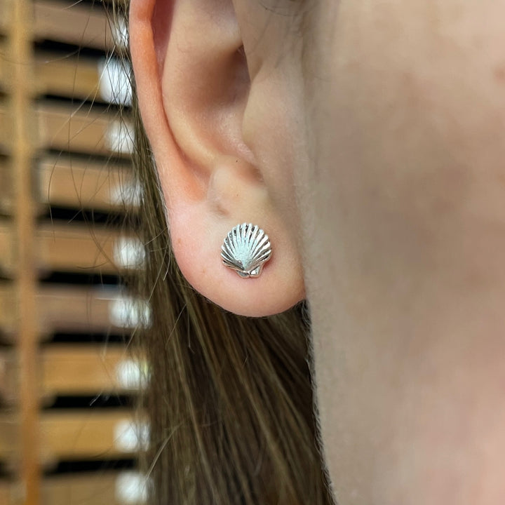  ▷ Aretes Conchas del Mar 🌊 Plata 925 | Nicola Joyería 🇨🇷