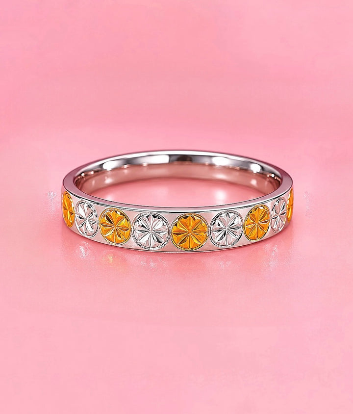 Anillo de Acero