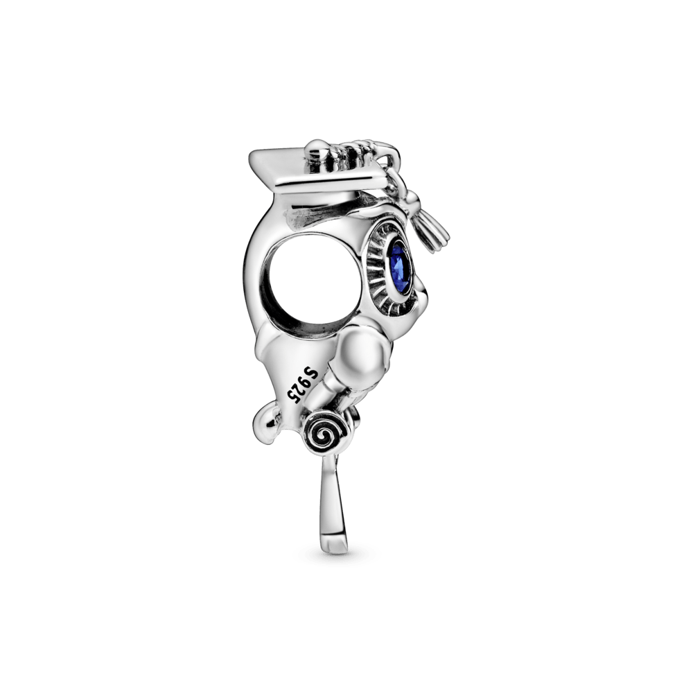 Charm de Plata