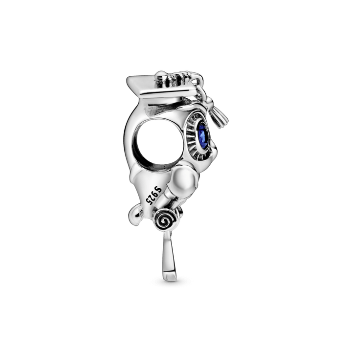 Charm de Plata