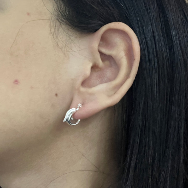 Argollas de Plata Delfín