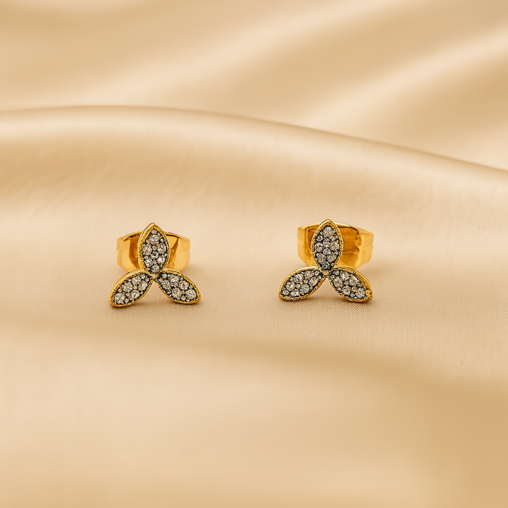 Aretes de Acero Rosetta