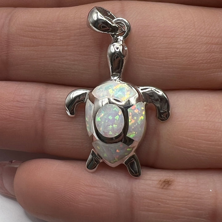 Dije de Plata Tortuga Abulon blanco