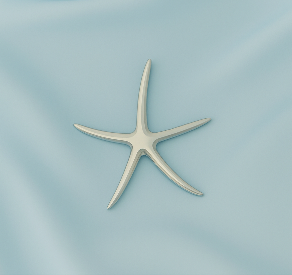 Dije de Plata Estrella de Mar Lisa