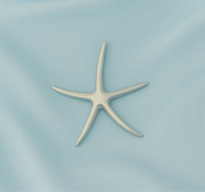 Dije de Plata Estrella de Mar Lisa