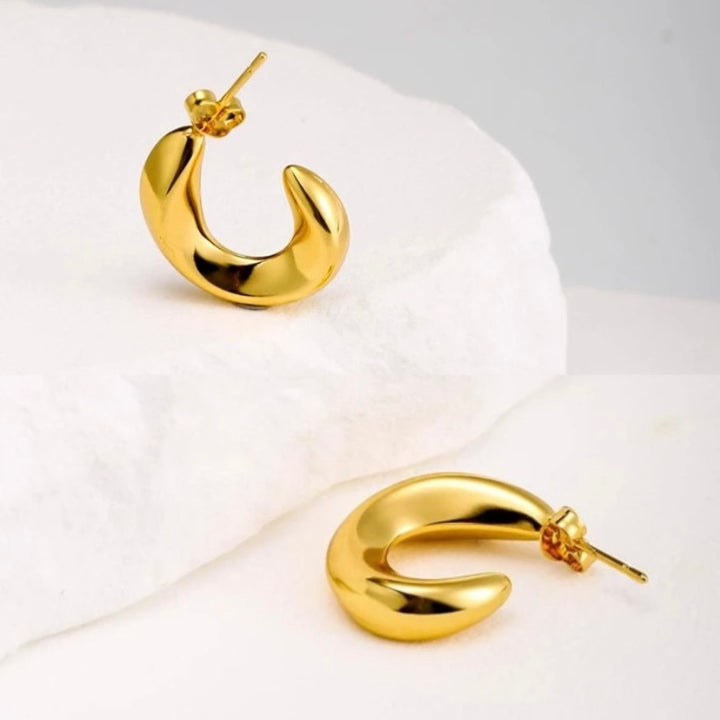Aretes Acero Gancho 20MM