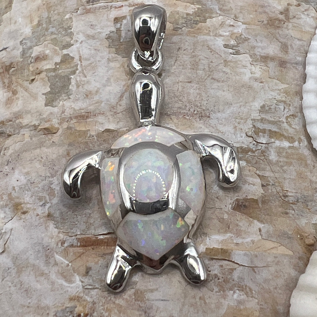 Dije de Plata Tortuga Abulon blanco