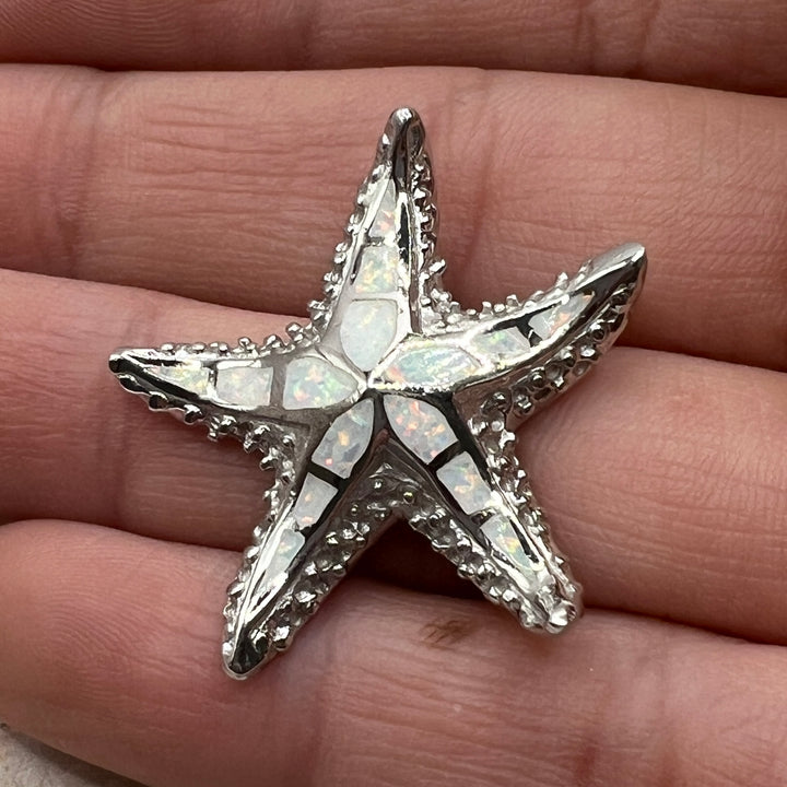 Dije de Plata estrella de mar Abulon blanco