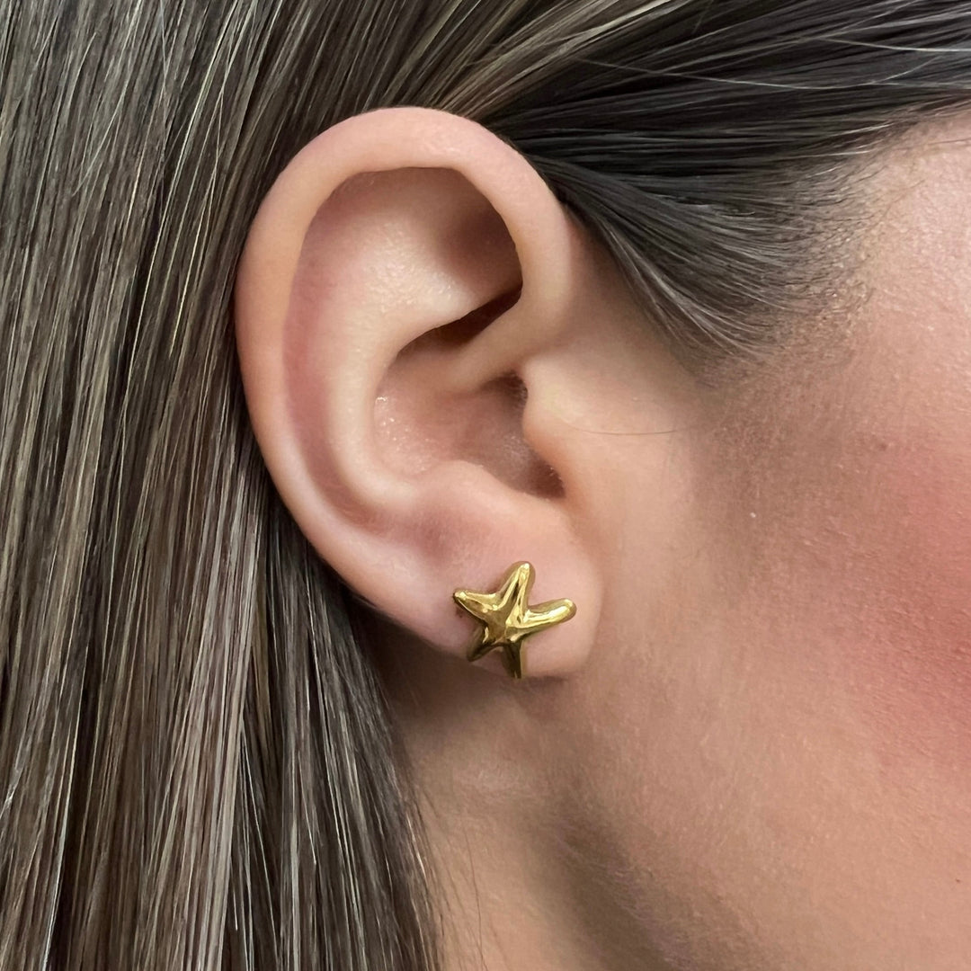 Aretes de Acero Estrella de Luz