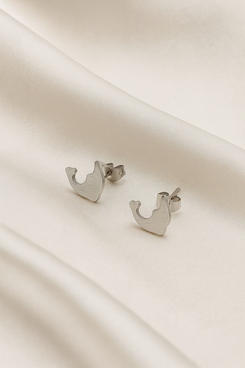 Aretes de Acero Delfín 🐬