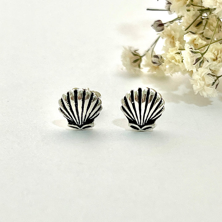 Aretes Conchas Plata
