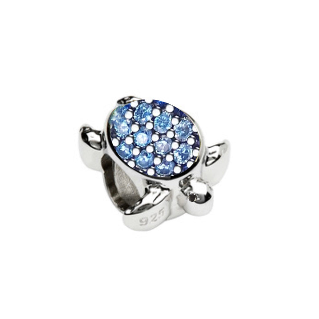Charm de Plata