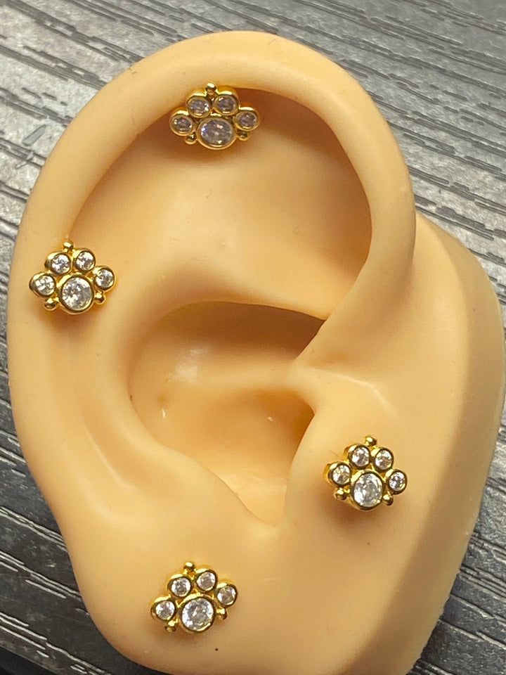 Arete Quirúrgico 🐾 Huella Dorada