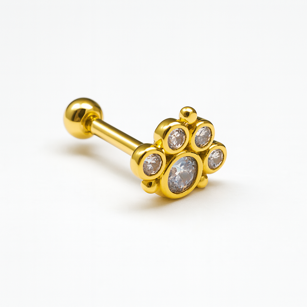 Arete Quirúrgico 🐾 Huella Dorada