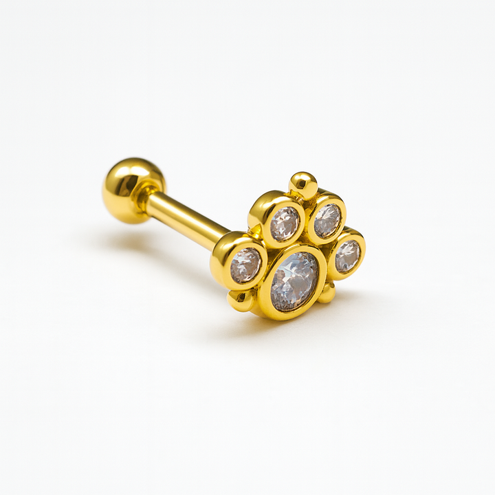 Arete Quirúrgico 🐾 Huella Dorada