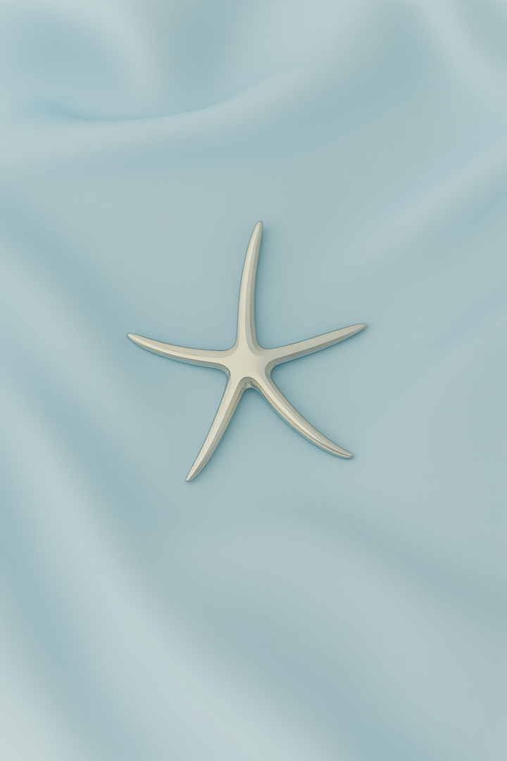 Dije de Plata Estrella de Mar Lisa