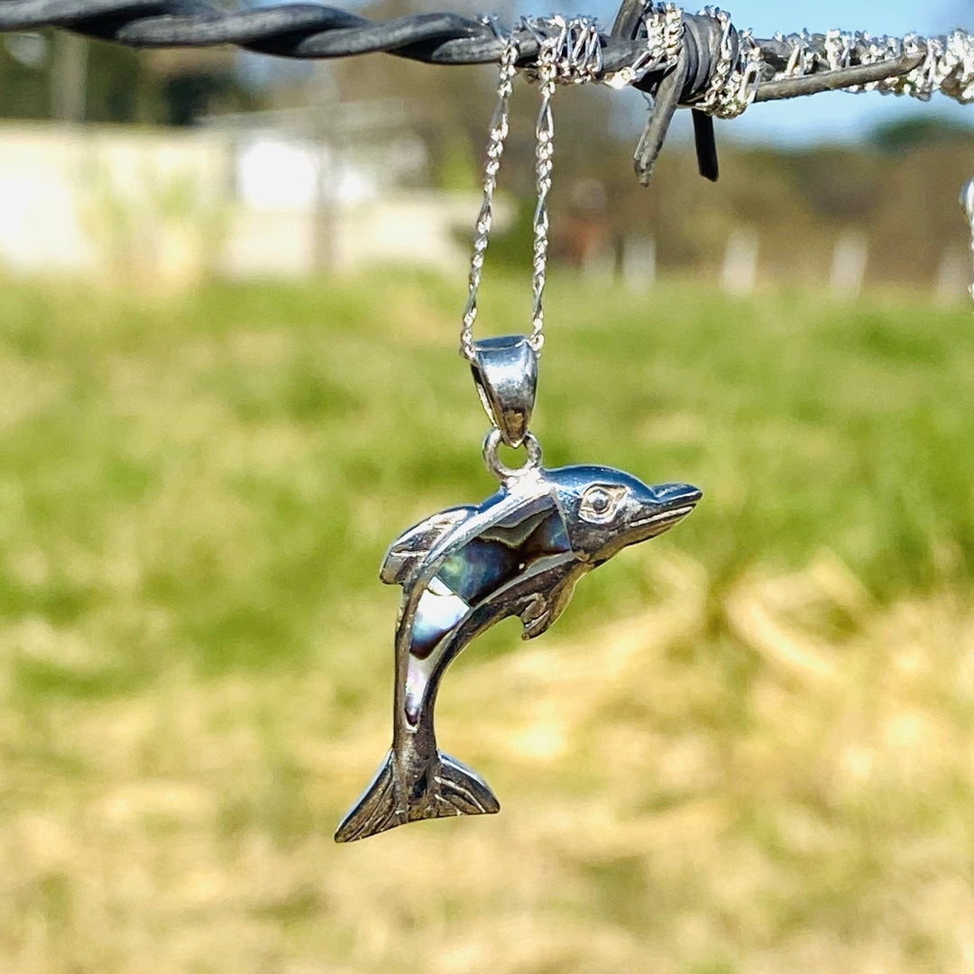 Dije Delfín Abulón Raya