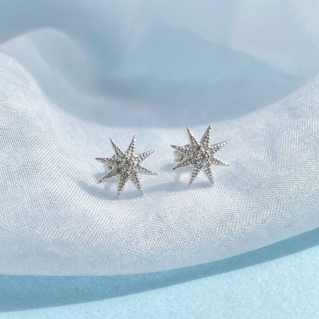 Aretes ⭐️ Plata 12MM