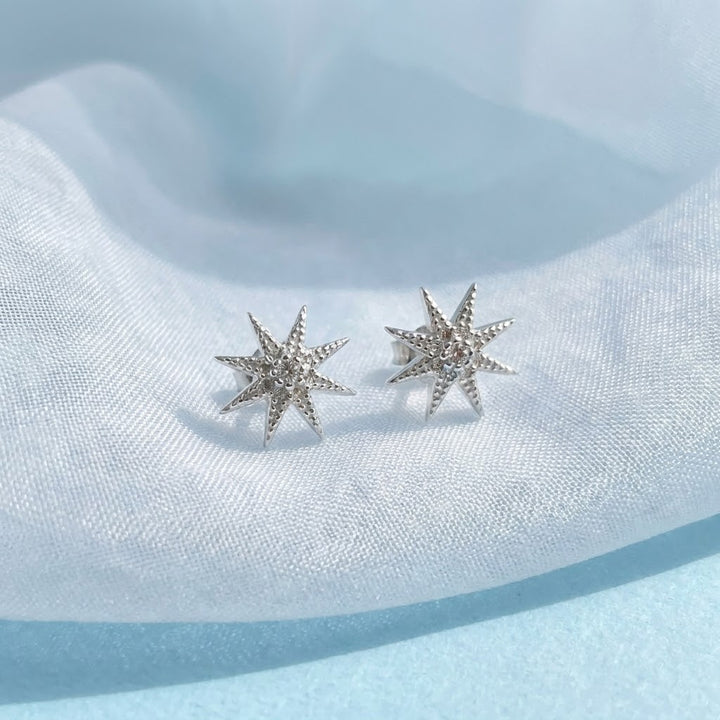 Aretes ⭐️ Plata 12MM