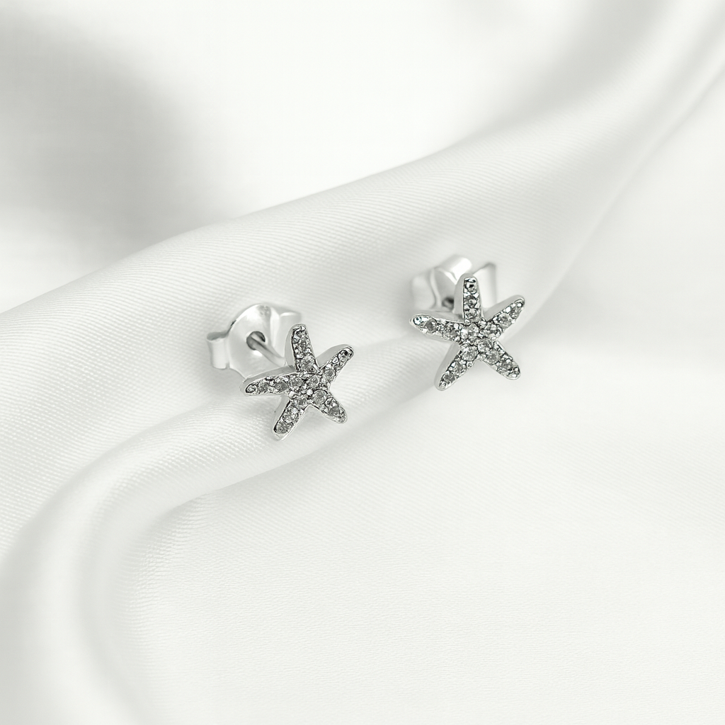 Aretes de Plata