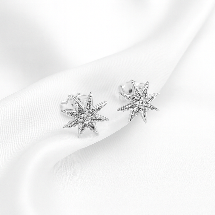Aretes de Plata