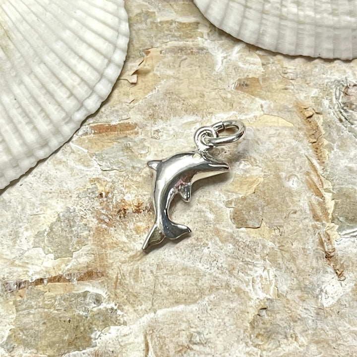 Dije Plata Delfín Liso