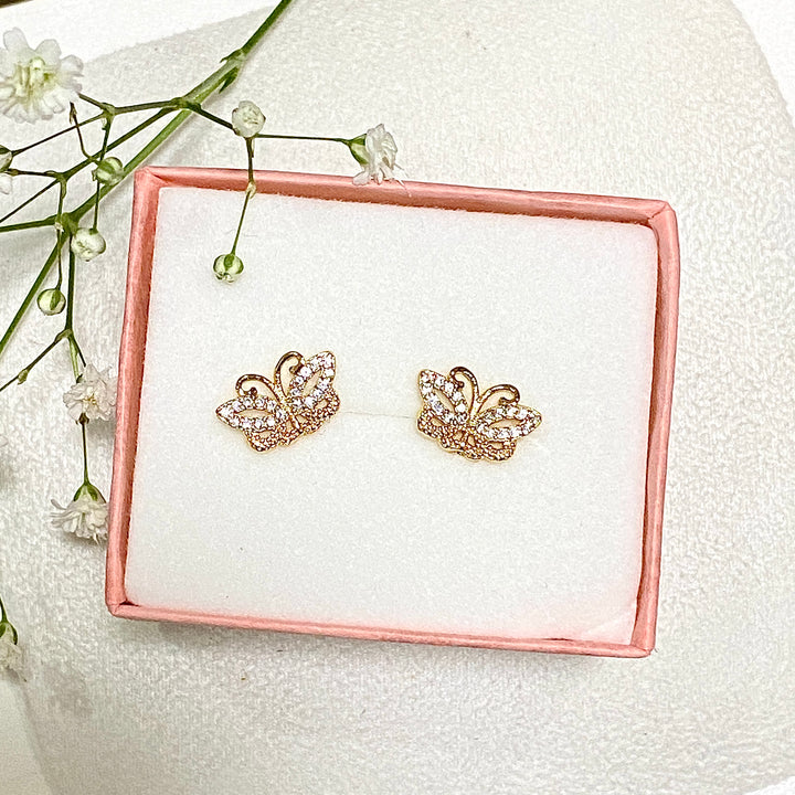Aretes de Acero