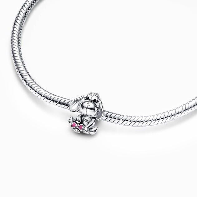 Charm de plata