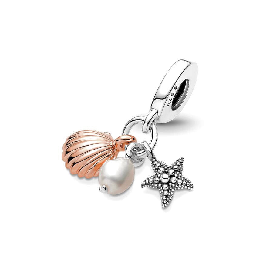 Charm de plata