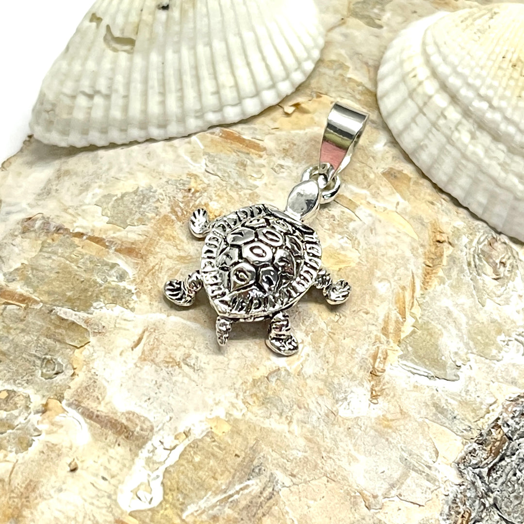 Dije de Plata Tortugas Lisas