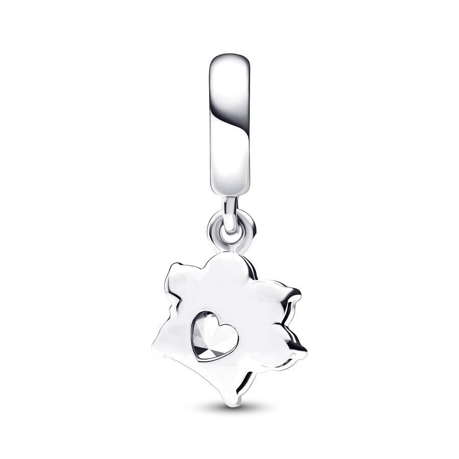 Charm de plata
