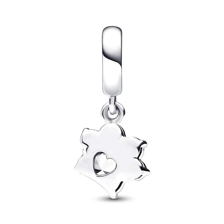 Charm de plata