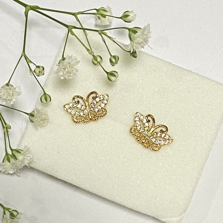 Aretes de Acero