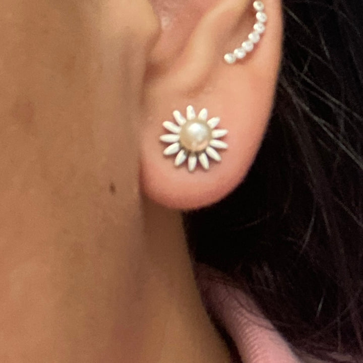 Aretes de Acero