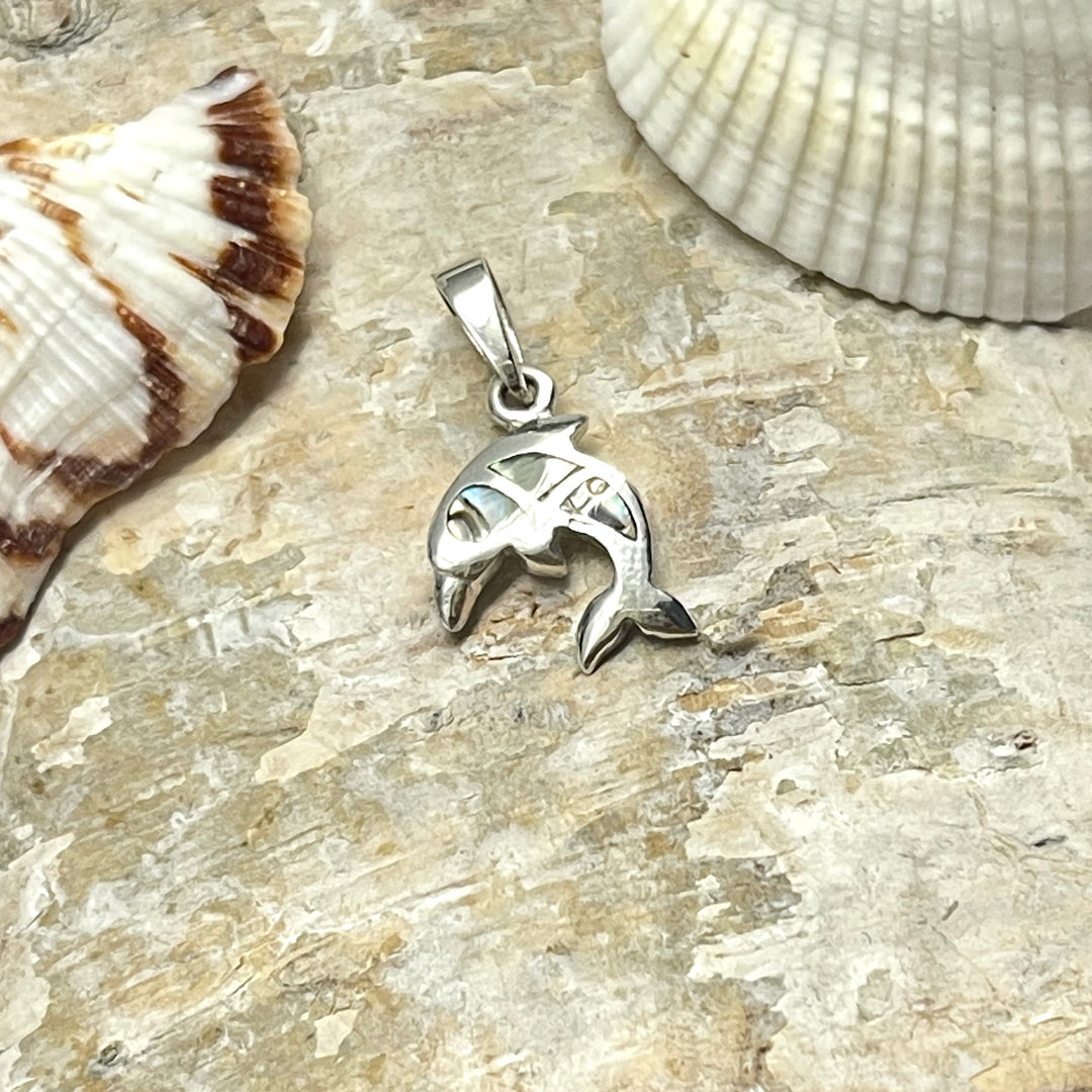 Dije de Plata Delfines 🐬