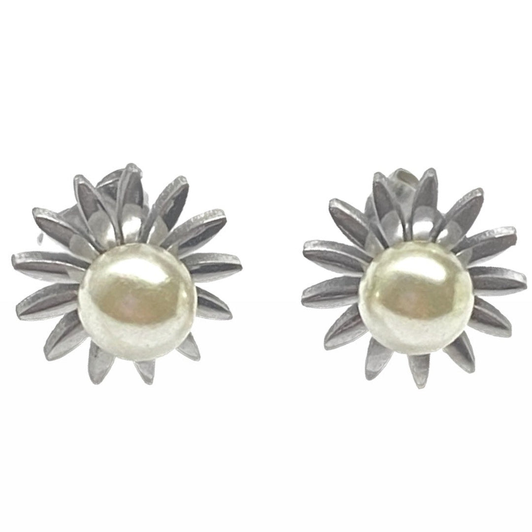 Aretes de Acero