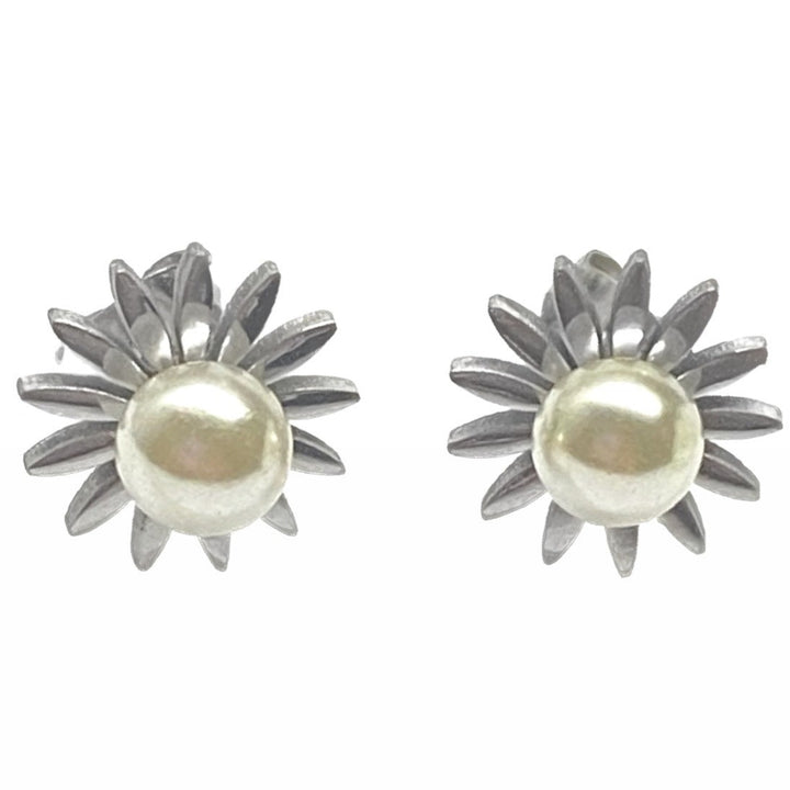 Aretes de Acero
