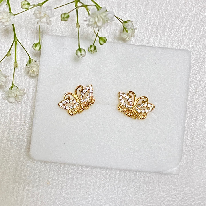 Aretes de Acero