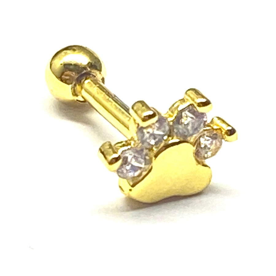 Arete Quirúrgico 🐾 Huella Dorada | Nicola Joyería