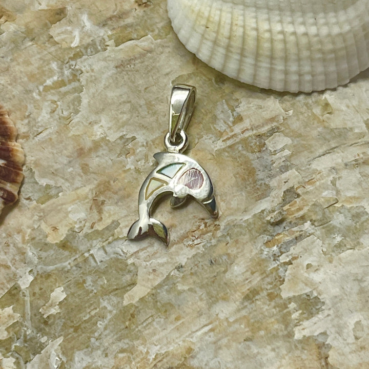 Dije de Plata Delfines 🐬