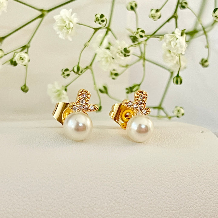Aretes de Acero