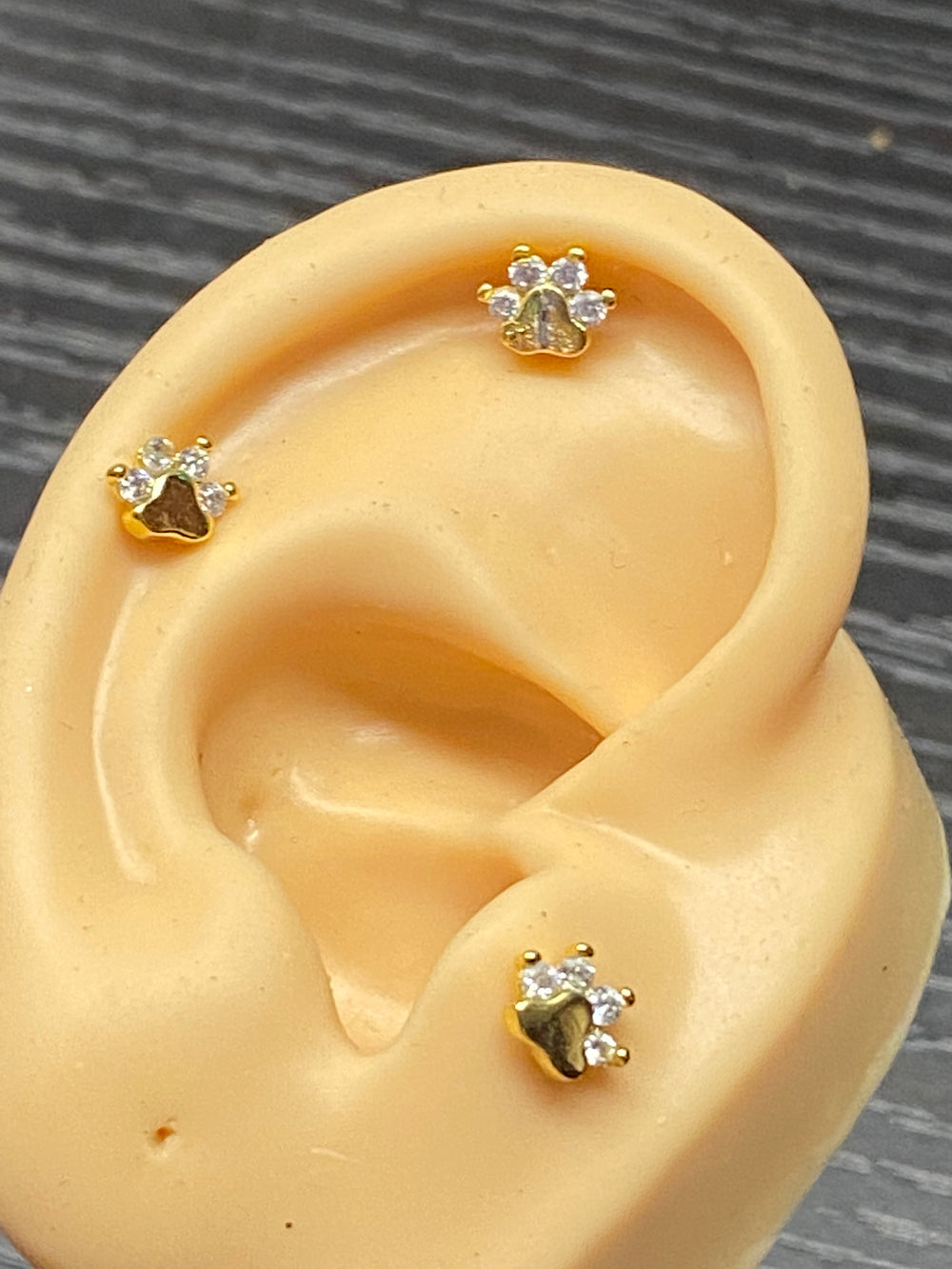 Arete Quirúrgico 🐾 Huella Dorada | Nicola Joyería